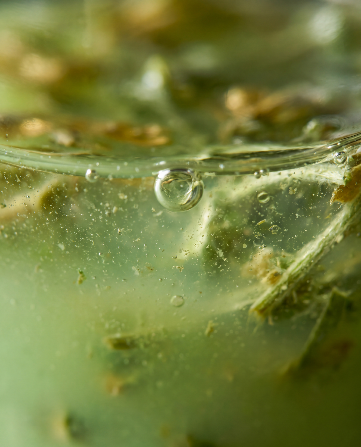 Duftnote Absinth – grünliche Flüssigkeit mit Luftblasen und Kräuterstängeln