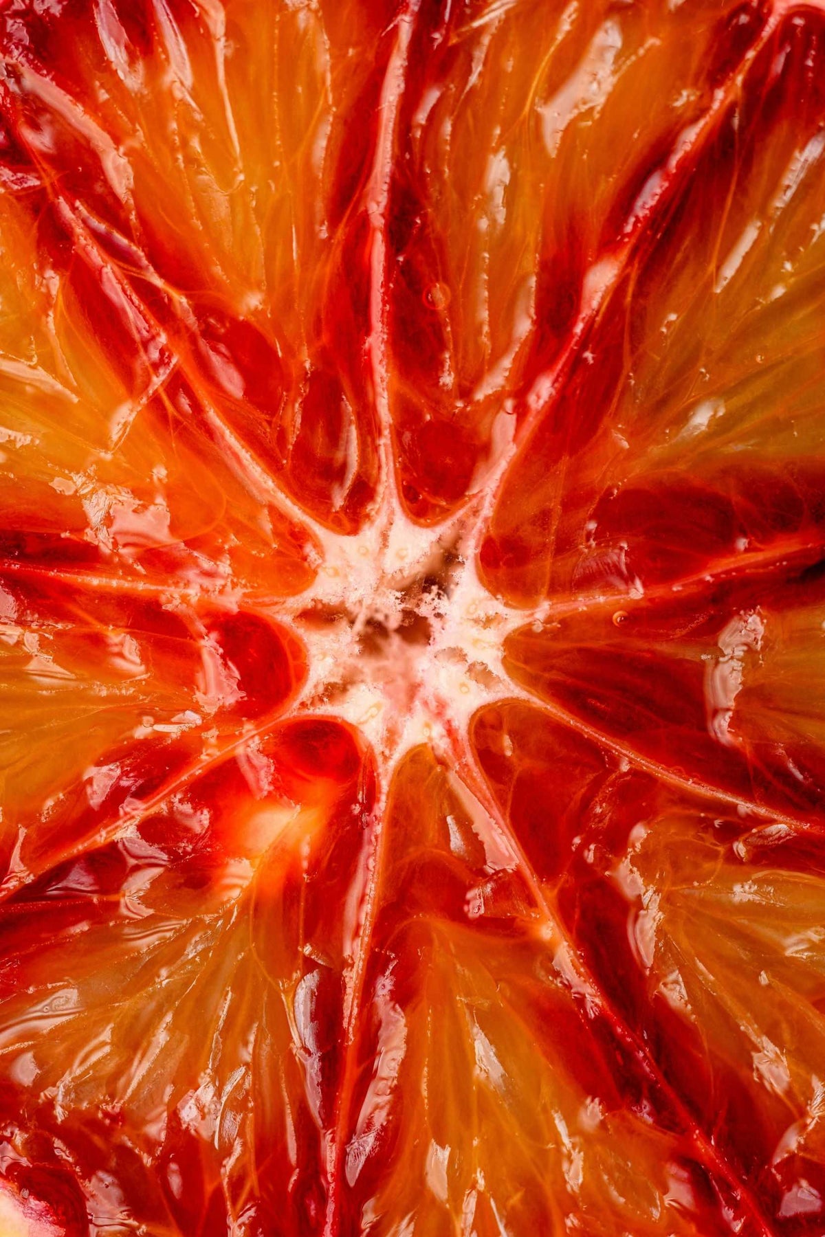 Duftnote Frucht – rot-orange Blutorange im Querschnitt, saftige Fruchtsegmente in Nahaufnahme