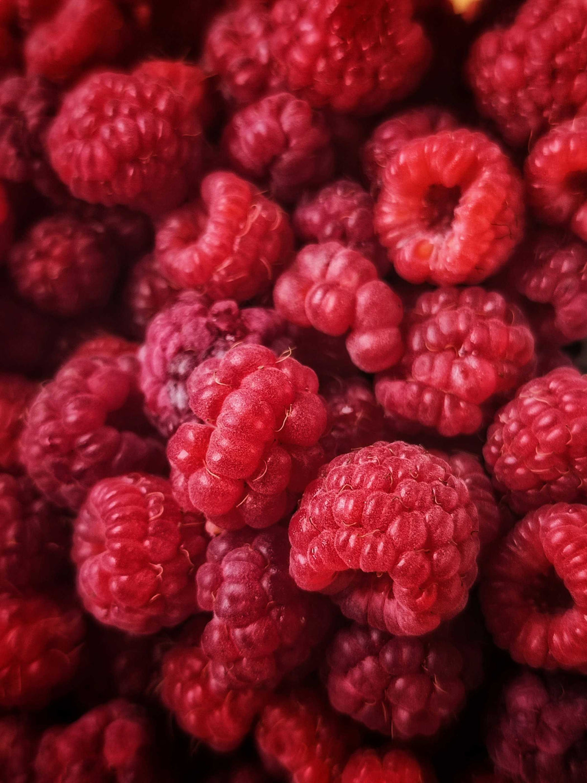 Duftnote Himbeere – dicht gehäufte rote Himbeeren in Nahaufnahme