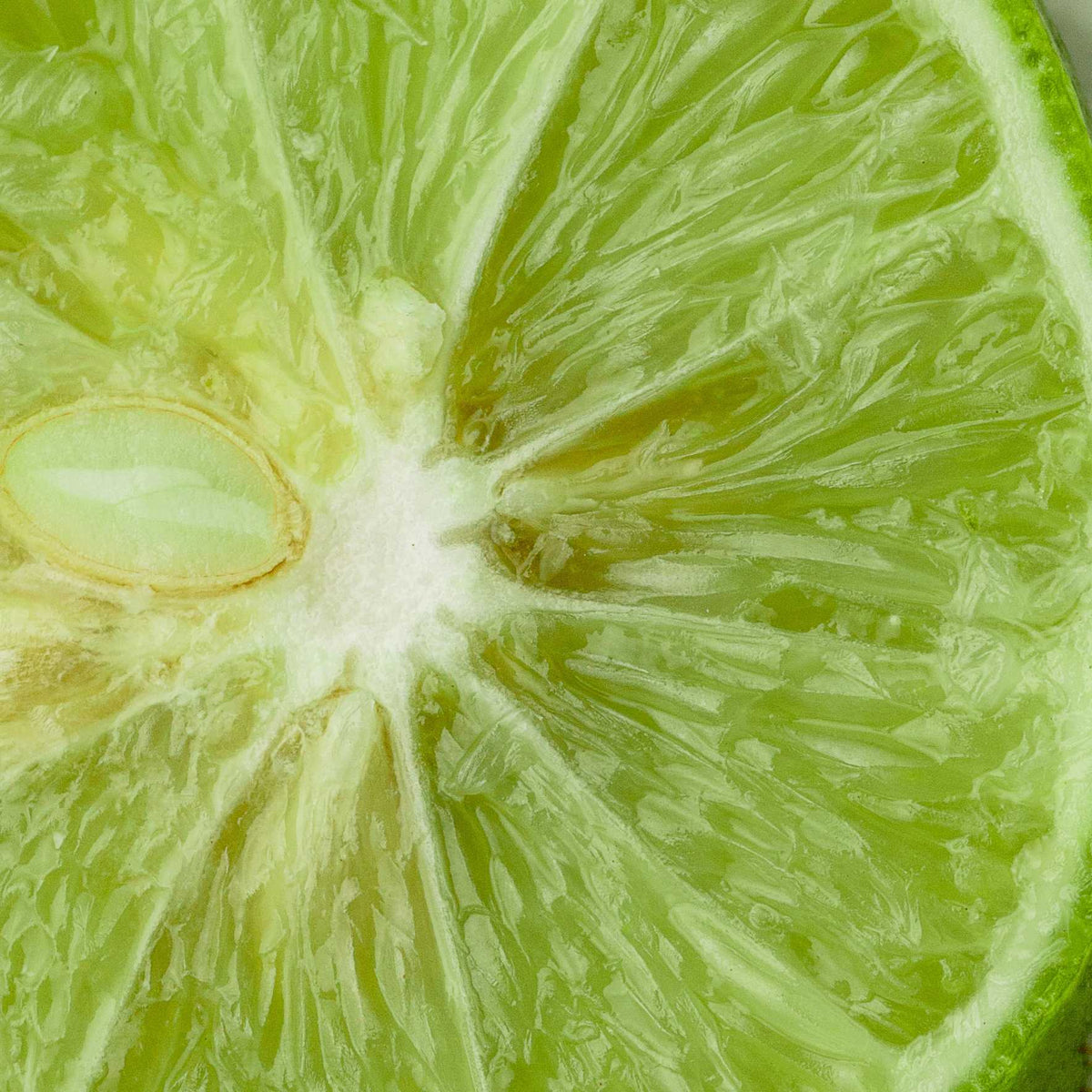 Duftnote Limette – hellgrüne Limettenscheibe mit Kern in Makroaufnahme