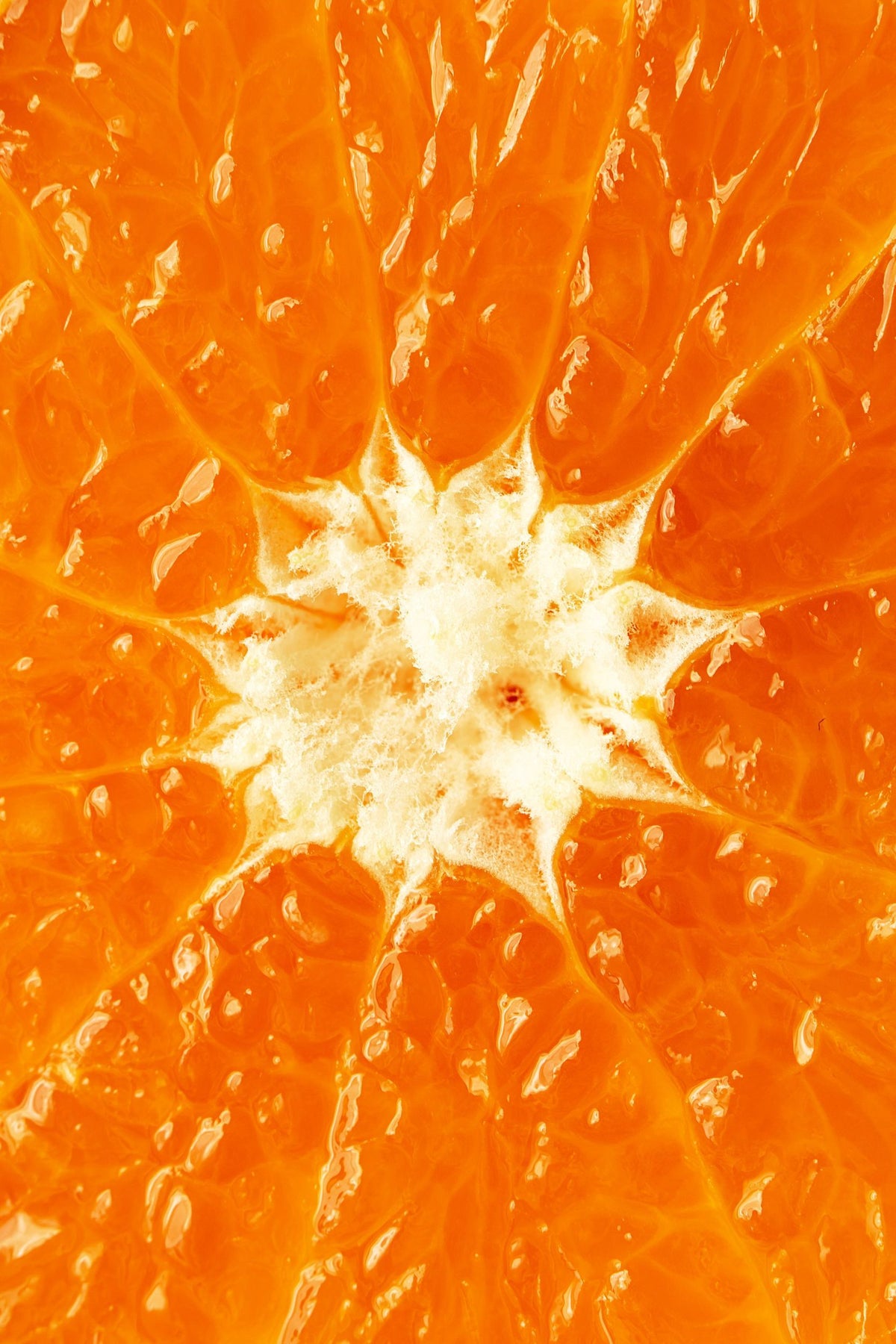 Duftnote Orange – leuchtend orange Fruchtsegmente mit weissem Kern in Makroaufnahme