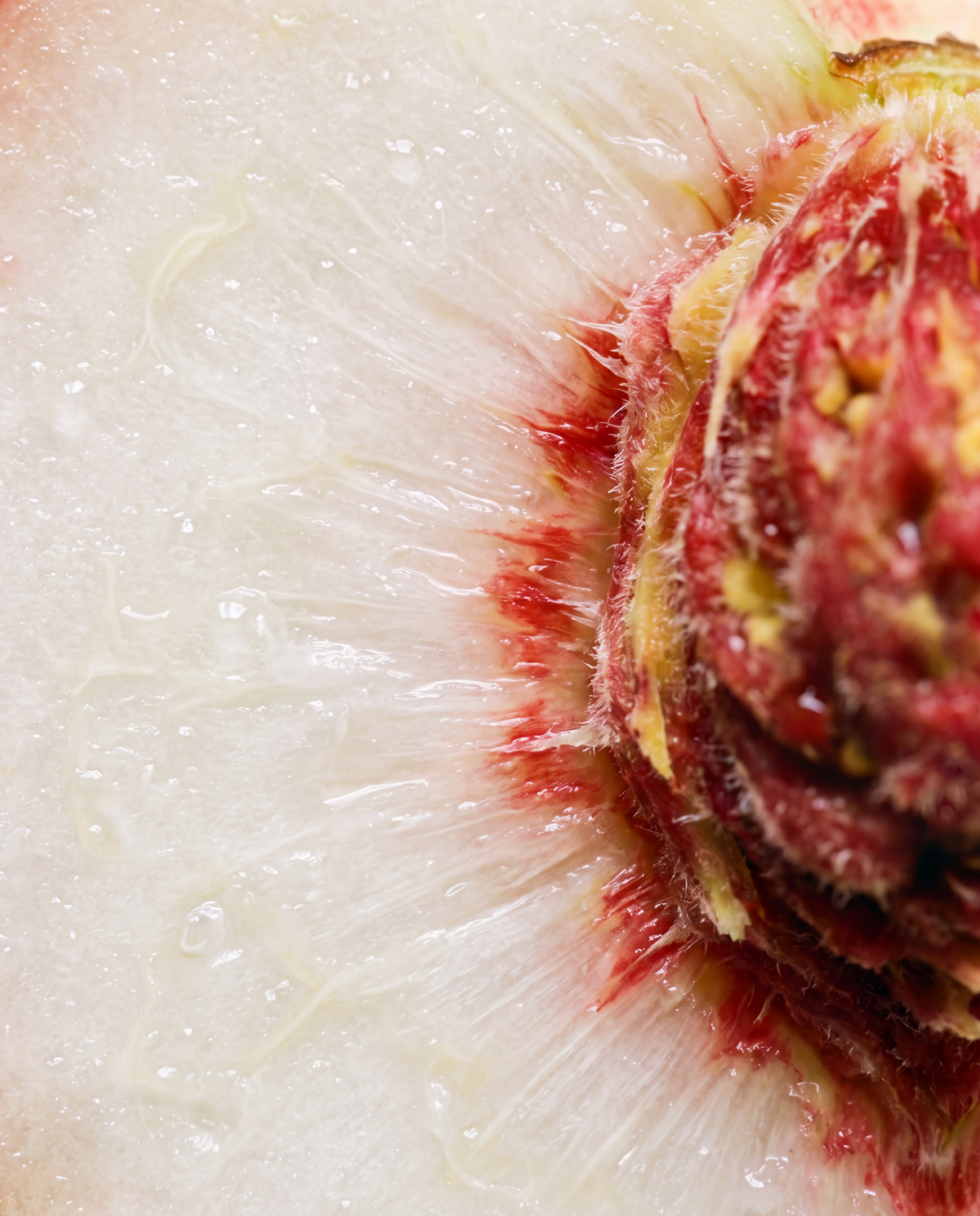 Duftnote Weisser Pfirsich – helles Pfirsichfruchtfleisch mit rotem Kern in Nahaufnahme