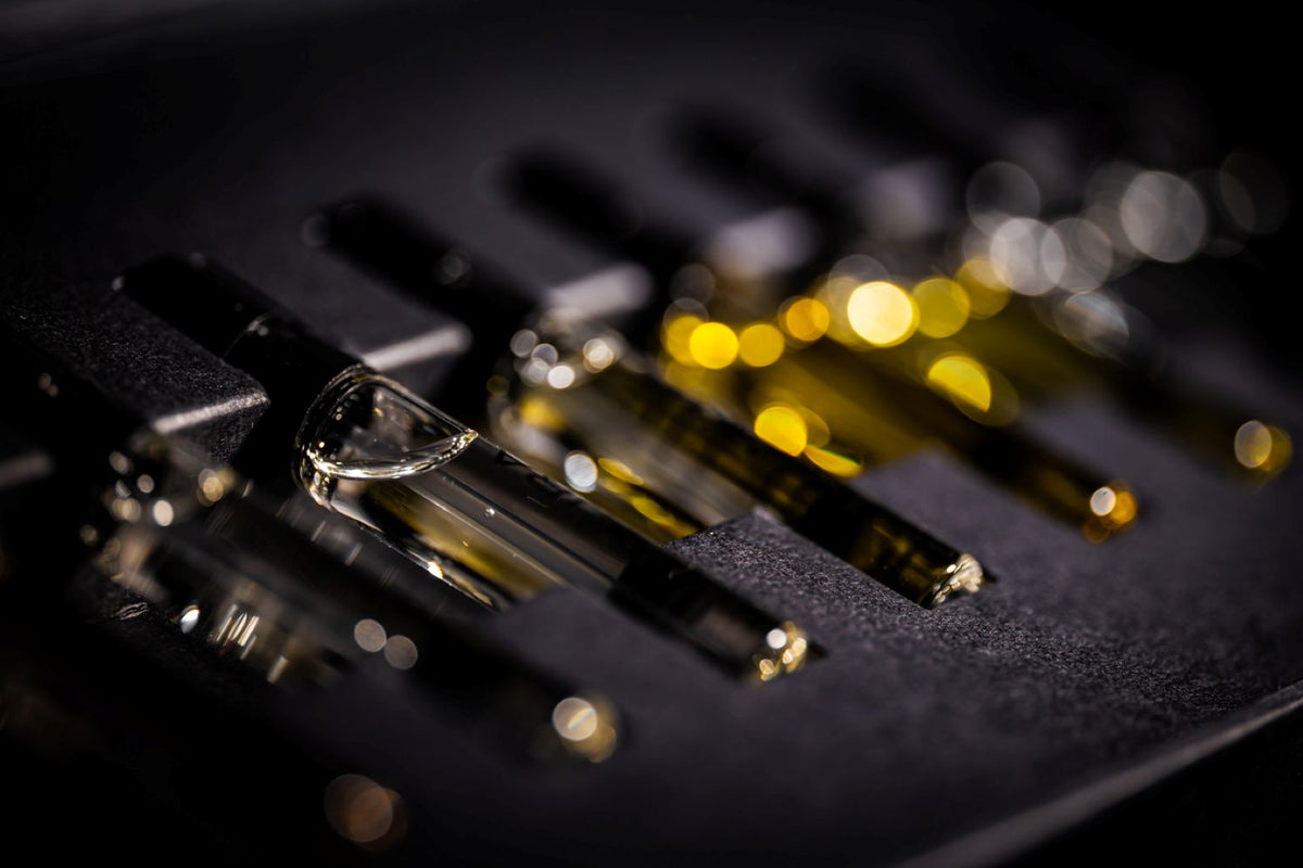 Kinetic Perfumes Discovery Set 11 × 2 ml – Makro Probenfläschchen mit goldenen Lichtreflexen auf Schwarz