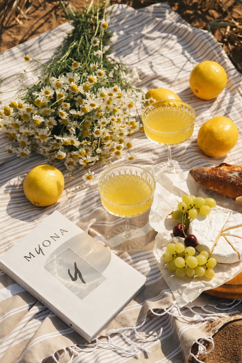 MYONA Kunstbuch auf Picknickdecke mit Zitronen, Kamille, Trauben und Gläsern