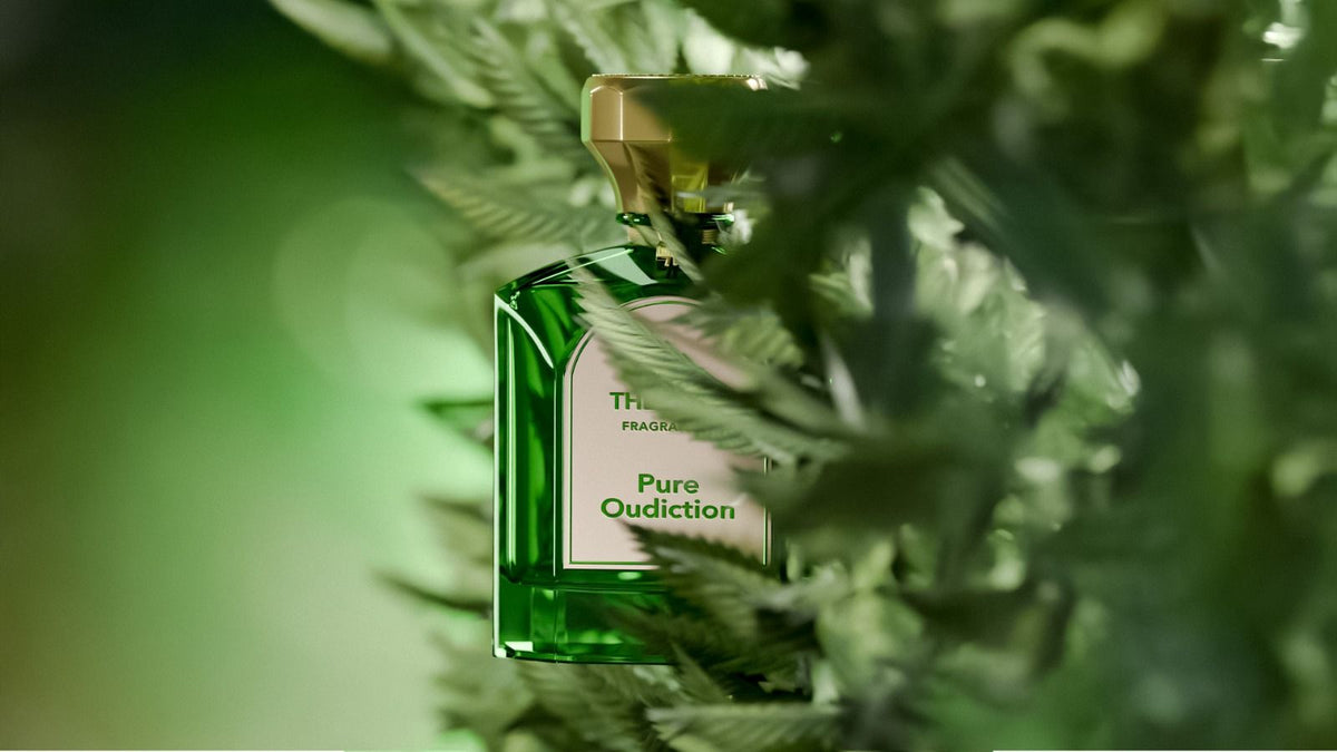 The Gate Pure Oudiction Extrait de Parfum 100 ml – grüner Flakon seitlich zwischen dichten Hanfblättern im Querformat