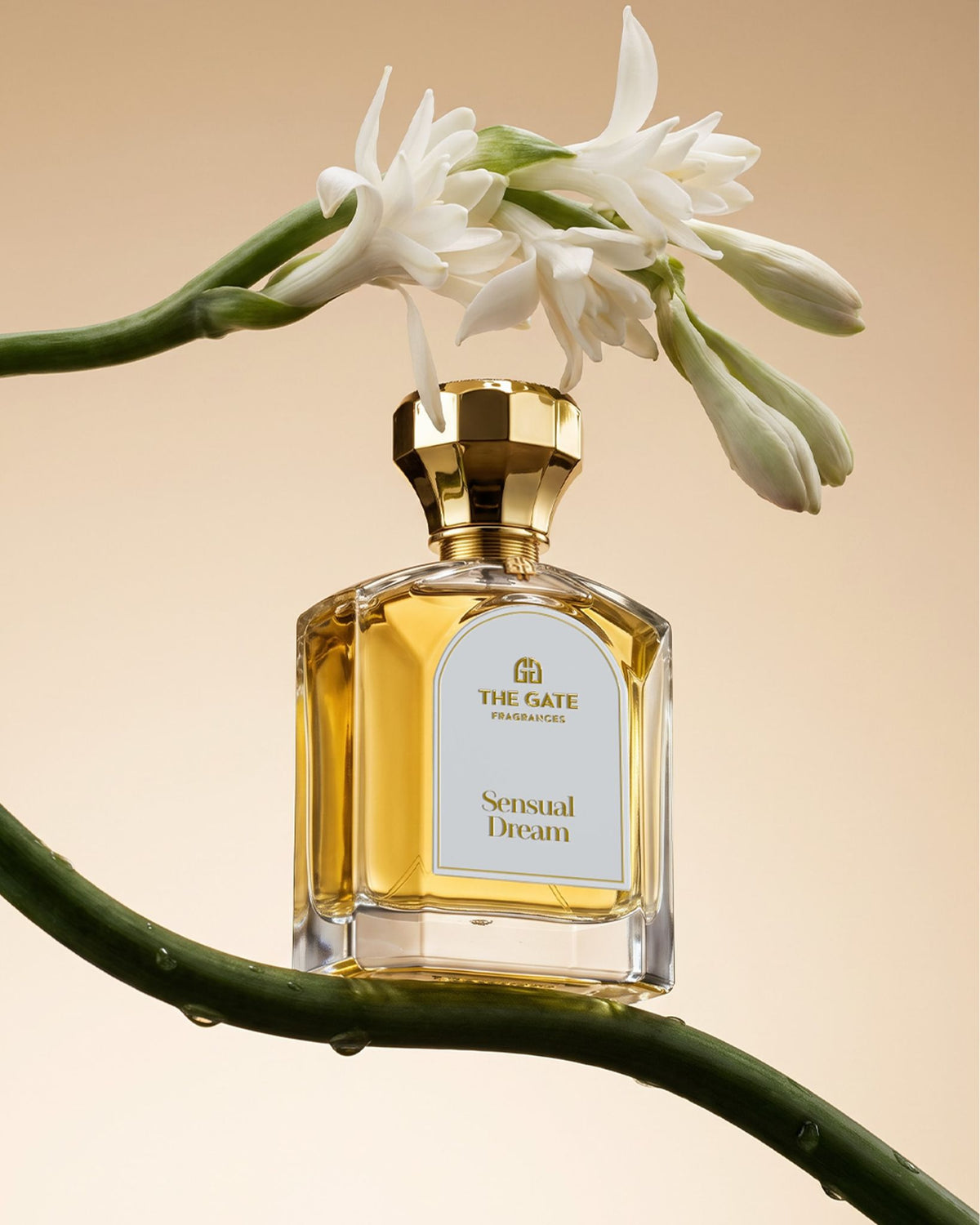 The Gate Sensual Dream Extrait de Parfum 100 ml – gelbgoldener Flakon unter weisser Tuberosenblüte auf grünem Stiel